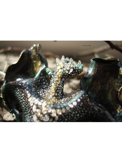 &quot;КотоВолк (Котовий ЛосеВолк) из рода котов-единорогов&quot; - брошь в лесном стиле