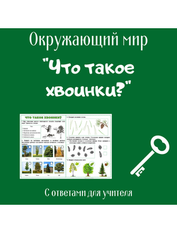 Рабочий лист. 1 класс. "Что такое хвоинки?"