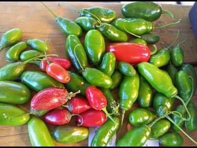 Перец острый Rocoto montufar