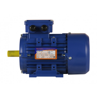 Электродвигатель 5АИ 71B4 (0,75 кВт) IM 1081