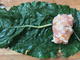 Голубцы из мангольда c мясом индейки (упаковка ~1 кг, в упаковке 12-15 шт, цена за кг 850 рублей)