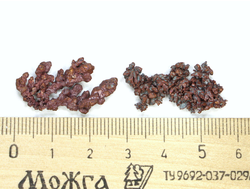 Медь самородная, коллекционный образец в ассортименте, Казахстан (26-27 мм, вес: 3-3,5 г) №21940