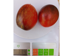 Томат Гном Сталь Дамаска (Dwarf Damascus Steel)