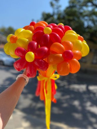 НАБОР ВОЗДУШНЫХ ШАРОВ "ЯРКИЕ ЦВЕТЫ"