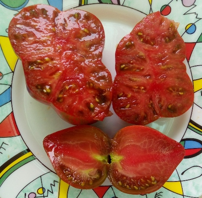 Томат Rebel Starfighter Prime (Мятежный звездный истребитель)