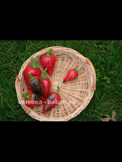 Перец  сладкий Леся, 10 шт