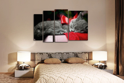 Модульная картина "Кот с красным бантиком"