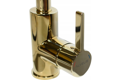 Смеситель Alveus TESLA-P MONARCH COOPER