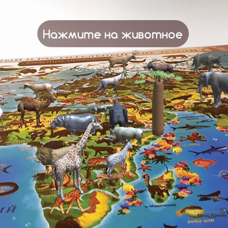 interaktivnaya-karta-mira-zhivotnyj-i-rastitelnyj-mir_04