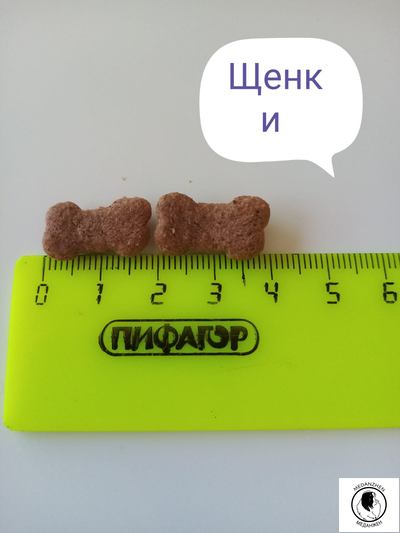 Гранд Дог корм для щенков всех пород Grand Dog Junior с Говядиной 1кг