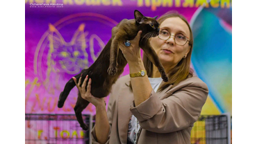 бурма соболиного окраса