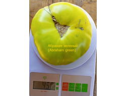 Томат Абрахам зеленый, (Abraham Green), США