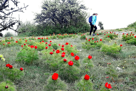 Активный пеший тур по крыму на майские праздники
