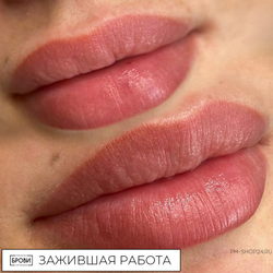 SVETA SCHWARZ PRIMER SET в pm-shop24.ru