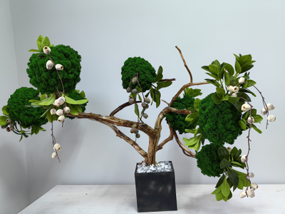 Живая эко-композиция 1006