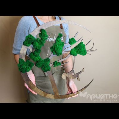 ЖИВАЯ ЭКО-КАРТИНА 1013