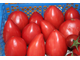 Пионовые Розы (Rose de  Bihor, Румыния)