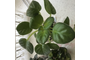D74388E0-8AE6-4CFC-8A3D-F3E08FC2F20C.jpeg