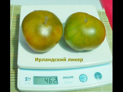Томат Ирландский ликер