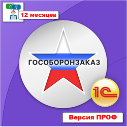 Поддержка: Консультации и сопровождение ПРОФ - 12 месяцев
