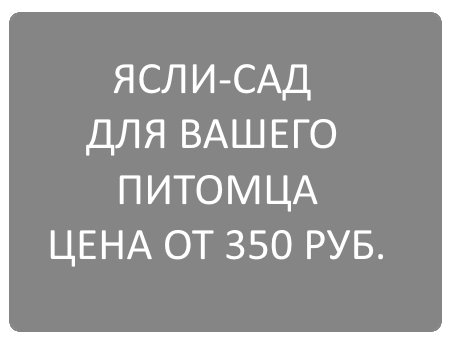 ясли-сад для домашних животных