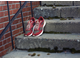 Кроссовки Saucony Shadow 5000 EVR Modern Red