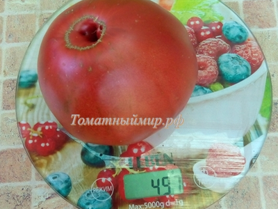 Томат Черный Франкенштейн (Frankenstein Black) США