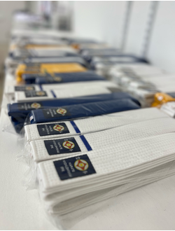 APIKA пояс для каратэ с вышивкой IFK