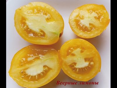 Томат Веерные лимоны (усл)