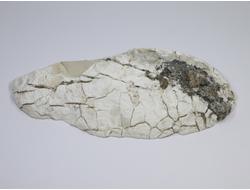 Кахолонг (Опал), срез с одной стороны, Оренбургская обл. (157*96*27 мм, 382 г) №21854