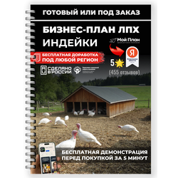 Бизнес-план для ЛПХ: Разведение индеек под соцконтракт