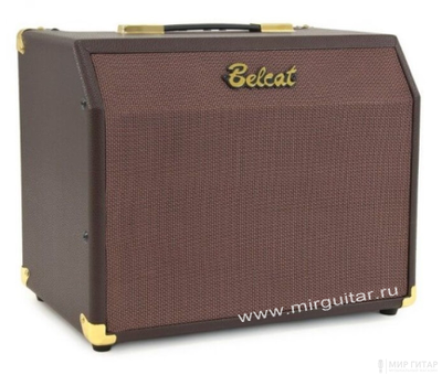 Belcat Acoustic-25RC