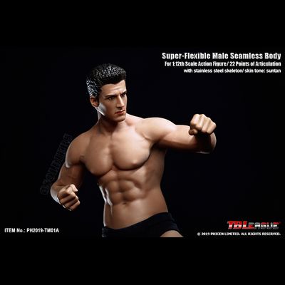 Супер-подвижное бесшовное мужское тело с головой - Коллекционная фигурка 1/12 scale Super Flexible Male Seamless Body (Including head) (PH2019-TM01A) - TBLeague