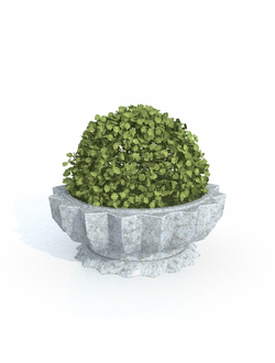 вазоны Вазон 05