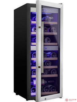 Винный шкаф Cold Vine C38-KSF2