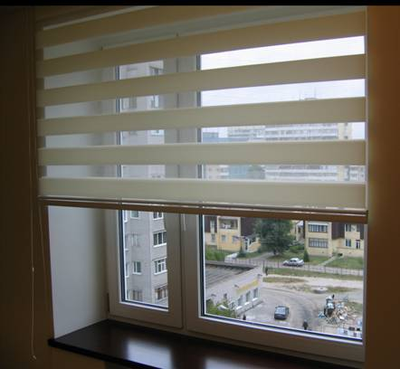 Рулонные шторы ЗЕБРА