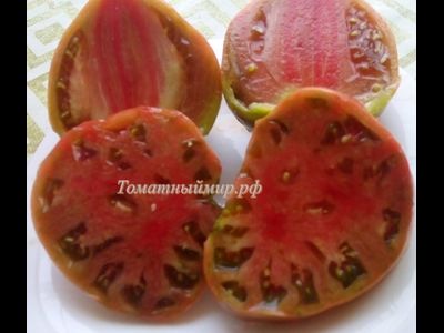 Томат Тундра (Tundra), Канада