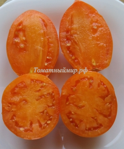 Томат Южный загар