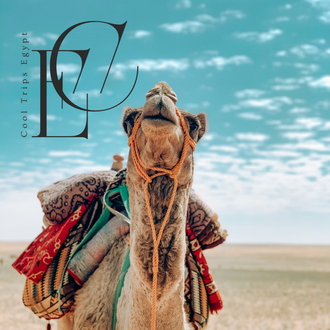 Мотосафари и прогулка на верблюдах из Шарм Эль Шейха