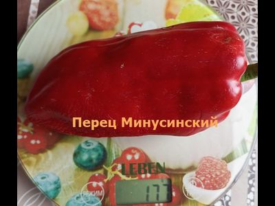 Перец сладкий  Минусинский