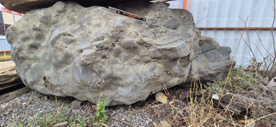 Валун гранитный Рыбка Гриша