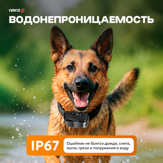 ЭЛЕКТРОННЫЙ ОШЕЙНИК ДЛЯ СОБАК DT2200