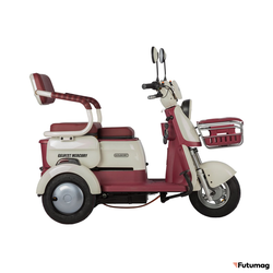 Электротрицикл Rutrike Gelbert Mercury 48V/60V 650Вт бело-красный