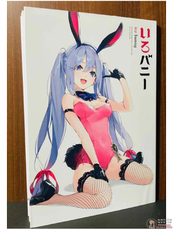 Оригинальный Арт Бук Iro Bunny