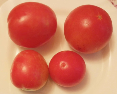 Томат Кубики красные