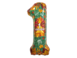 Цифра 1 сентября