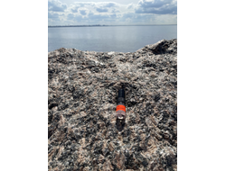 Духи НОТА: МУЖСКАЯ КОЖА 2,5 мл