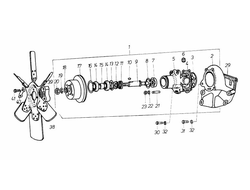 Водяной насос Д3900 (помпа) В41312246, В41313347
