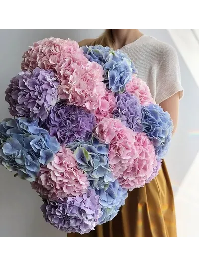 15 гортензий