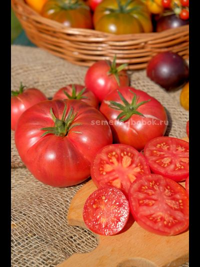 Томат Rebel Starfighter Kayleigh Anne Pink (Восставший Звездный Истребитель Кейли Энн Пинк ), 10 шт